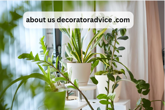 about us decoratoradvice .com