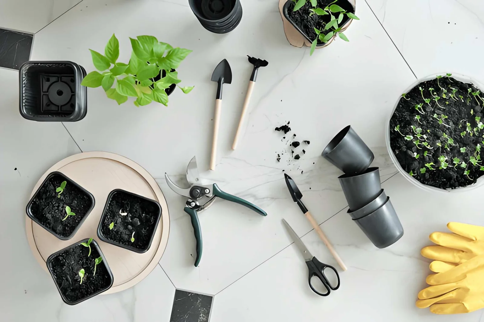 Ready to Try These Home Advice DecadGarden Ideas?
