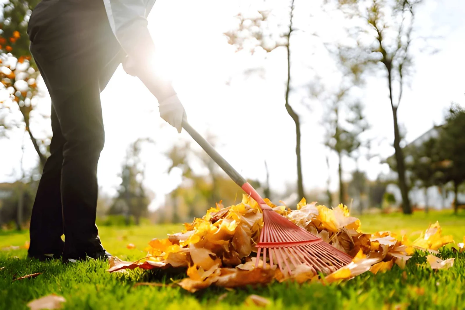 How Can You Get Your Garden Ready for Fall?