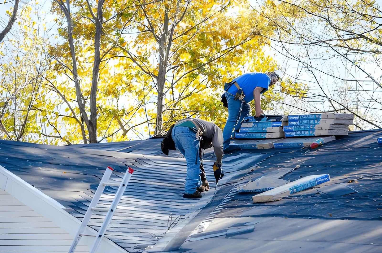 Which Seasonal Tasks Help Prevent Roof Damage?